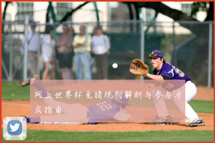 网上世界杯竞猜规则解析与参与方式指南