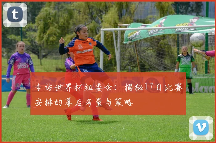 专访世界杯组委会:揭秘17日比赛安排的幕后考量与策略