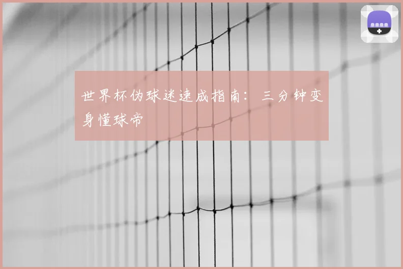 世界杯伪球迷速成指南：三分钟变身懂球帝