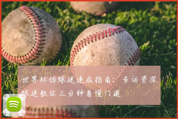 世界杯伪球迷速成指南:专访资深球迷教你三分钟看懂门道