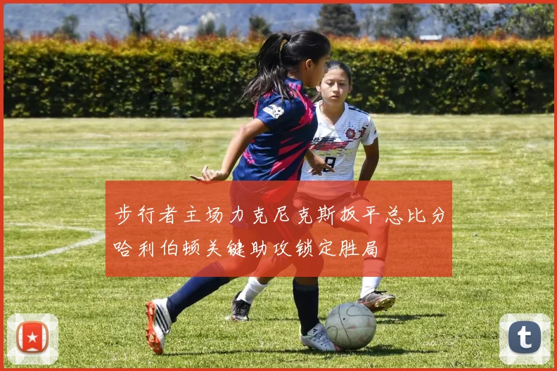 步行者主场力克尼克斯扳平总比分哈利伯顿关键助攻锁定胜局