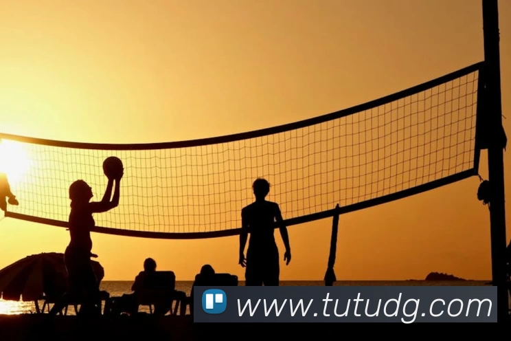 爱游戏官网平台生态图